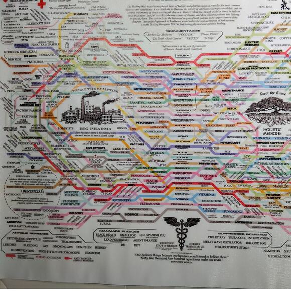 Big Pharma vs. Holistic Medicine Canvas Print – Conspiracy Infographic (18x12") - Picture 2 of 4